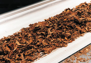 Bande transporteuse pour l’Industrie du tabac
